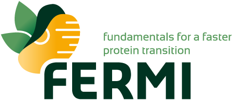 Fermi Project